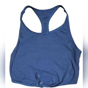 Aerie Blue Fitted Sleeveless Crop Top